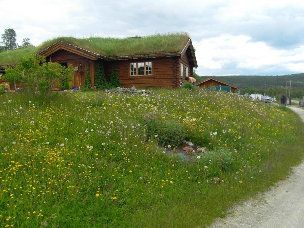 Lokken Fjellgard Villa Folldal Buitenkant foto